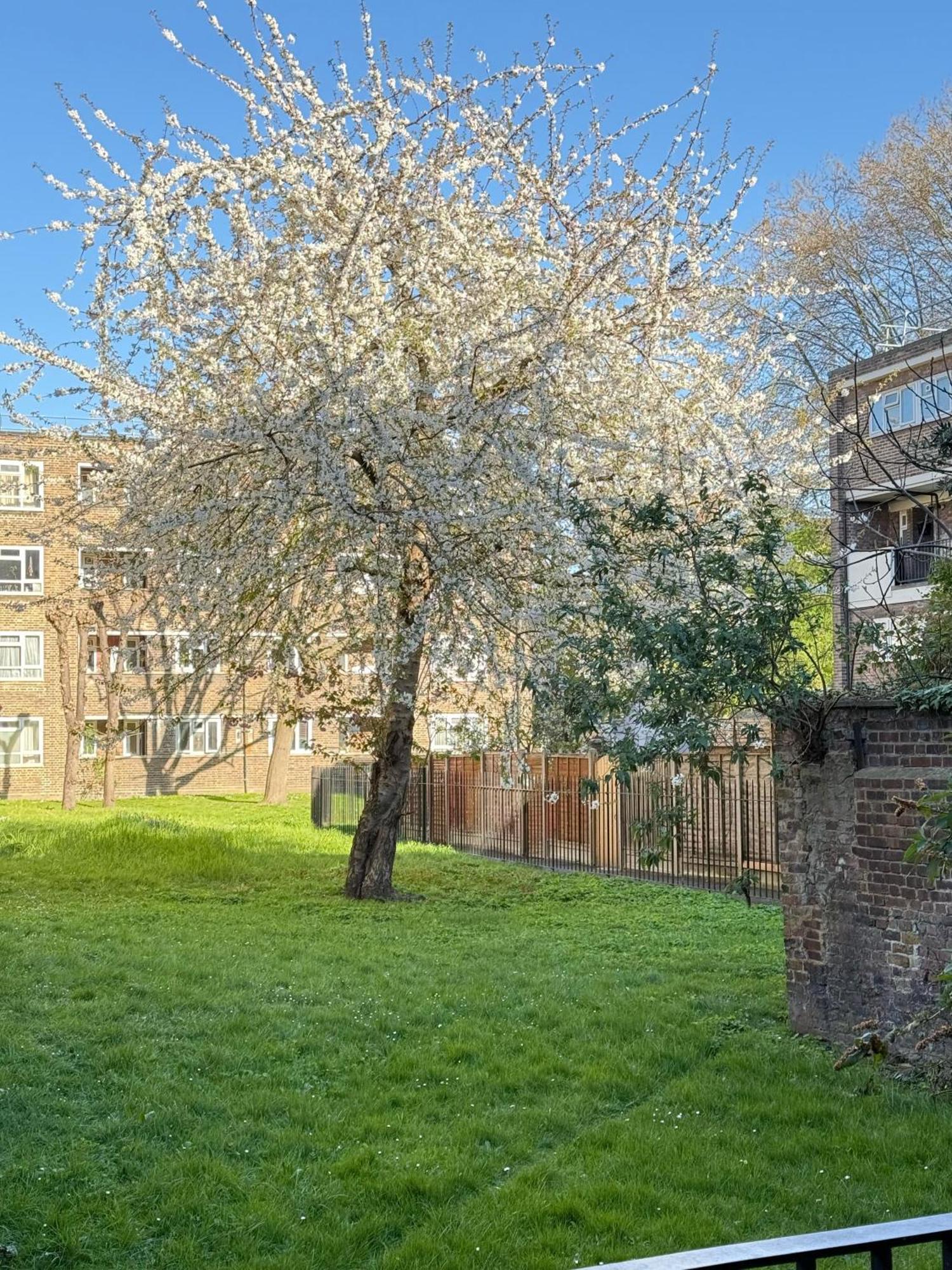 Shoreditch Apartments By Dc London Rooms Quarto foto
